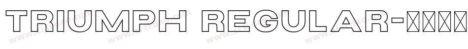 Triumph Regular字体转换